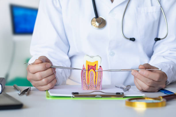 Best 24-Hour Emergency Dental Care in Kelly Ridge, CA